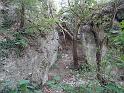 DSC02501