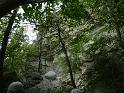 DSC02505
