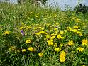 DSC01977