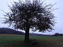 IMG-20211107-WA0005
