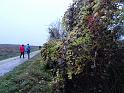 IMG-20211107-WA0008