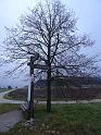 IMG-20211107-WA0009