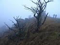IMG-20211107-WA0012