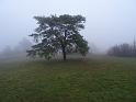 IMG-20211107-WA0014