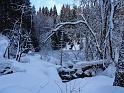 DSC03655