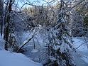 DSC03656