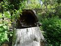 DSC04816