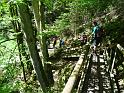 DSC04851