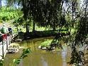 DSC04856
