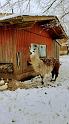 DSC03519a