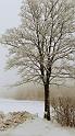 DSC03534a