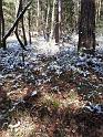 IMG-20220404-WA0002