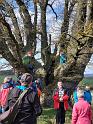 IMG-20220404-WA0004