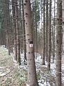 IMG-20220404-WA0007