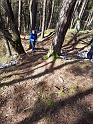 IMG-20220404-WA0012