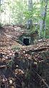 IMG-20220904-WA0005