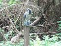 DSC05009
