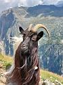 IMG-20220814-WA0215