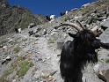 IMG-20220814-WA0527