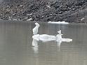 IMG-20220822-WA0031
