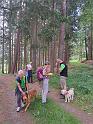 IMG-20230702-WA0093