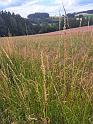 IMG-20230702-WA0097