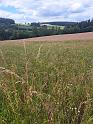 IMG-20230702-WA0098