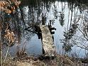 IMG-20240306-WA0001