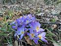 IMG-20240306-WA0002