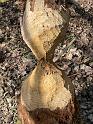 IMG-20240306-WA0003