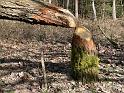 IMG-20240306-WA0005