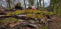 IMG-20240204-WA0009