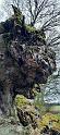 IMG-20240204-WA0030