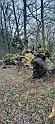 IMG-20240204-WA0032