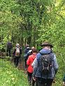 IMG-20240505-WA0026