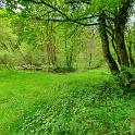 IMG-20240505-WA0048