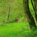 IMG-20240505-WA0049