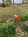 IMG-20240407-WA0023