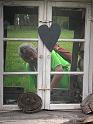 IMG-20240407-WA0039