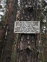 IMG-20240407-WA0043