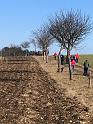 IMG-20250302-WA0021