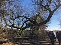 IMG-20250302-WA0037