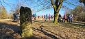 IMG-20250302-WA0055