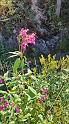 IMG-20260818-WA0032