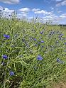 IMG-20260607-WA0062