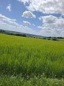 IMG-20260607-WA0073