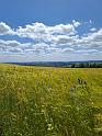 IMG-20260607-WA0083