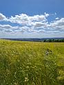 IMG-20260607-WA0085